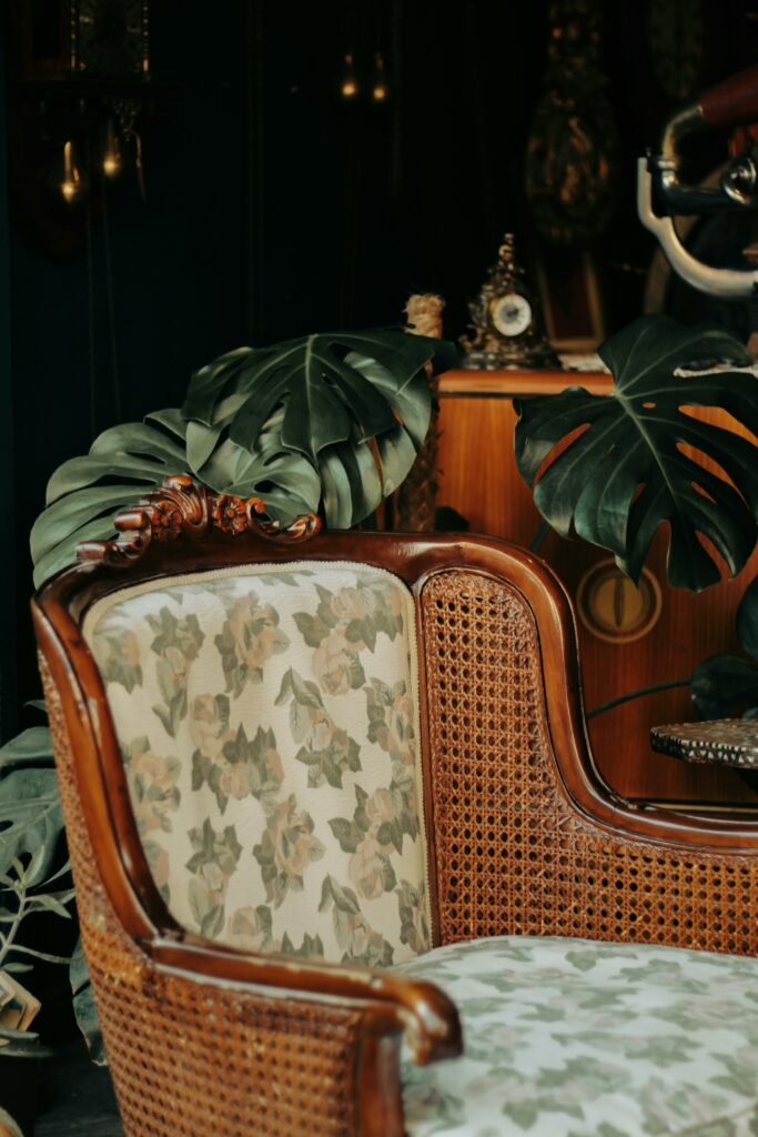 Fauteuil ancien en bois sculpté et cannage, tapissé d'un tissu fleuri, entouré de feuilles de monstera dans un intérieur sombre