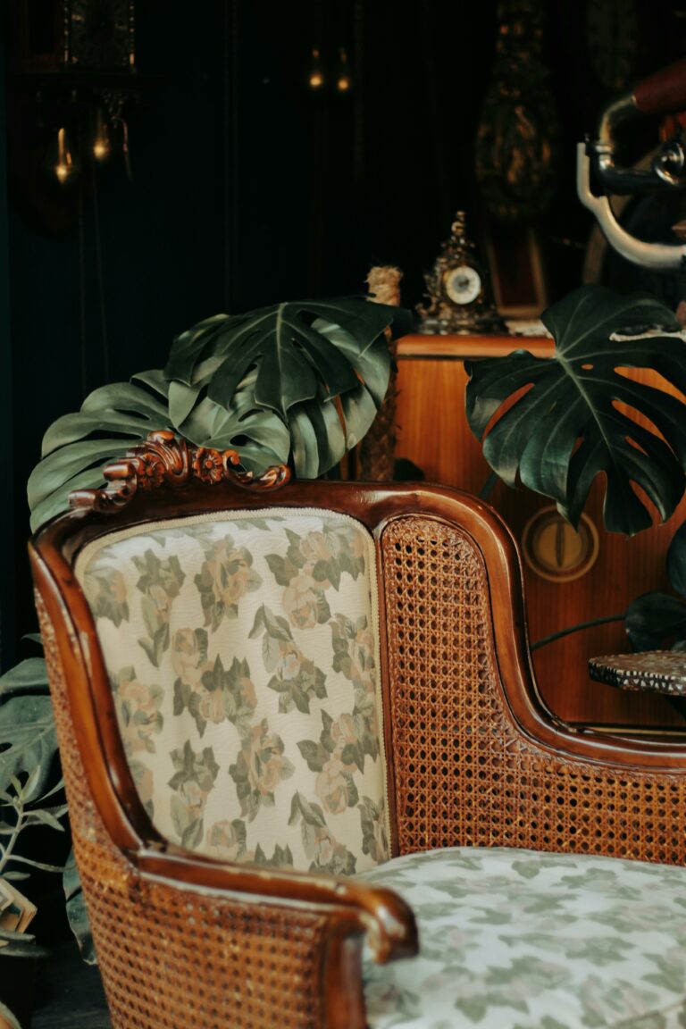 Fauteuil ancien en bois sculpté et cannage, tapissé d'un tissu fleuri, entouré de feuilles de monstera dans un intérieur sombre